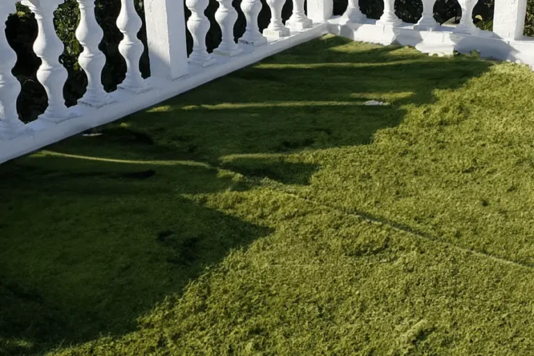 Hidroizolații terasă